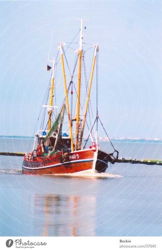 fishing cutter Fishing boat Crab cutter Vacation & Travel Ocean Watercraft Harlesiel Europe North Sea