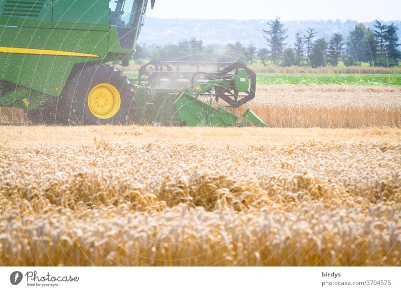 Combine harvester during the grain harvest. Grain field with ripe wheat, agricultural landscape Harvest Hot harvest season work Agriculture Summer reap Dust
