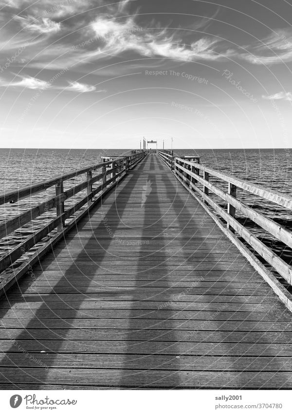 pierced Sea bridge Heiligendamm Baltic Sea Ocean Mecklenburg-Western Pomerania Coast Vacation & Travel Baltic coast Relaxation Idyll Water Tourism Exterior shot