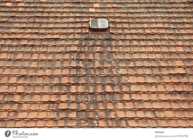 The small roof window seemed to be lost and useless for a long time between the many red and meanwhile also weathered beavertail tiles Roofing tile plain tile