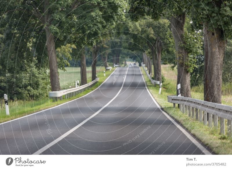in the passenger seat through Brandenburg Avenue Street Lanes & trails Exterior shot Country road Day Traffic infrastructure Deserted Colour photo Landscape