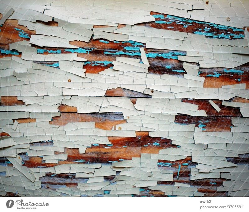 Little by little wood Old Pattern Exterior shot Structures and shapes Deserted Close-up Abstract White Flake off Derelict Colour photo Detail Ravages of time