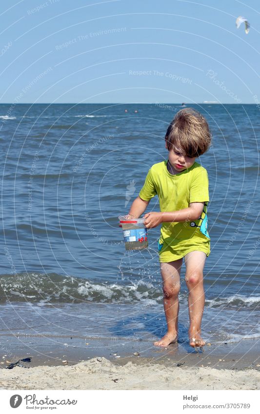 Water bearer at the North Sea beach Boy (child) Human being Child Beach Ocean Playing Bucket Carrying transport Sand Horizon Nature Environment Joy fun