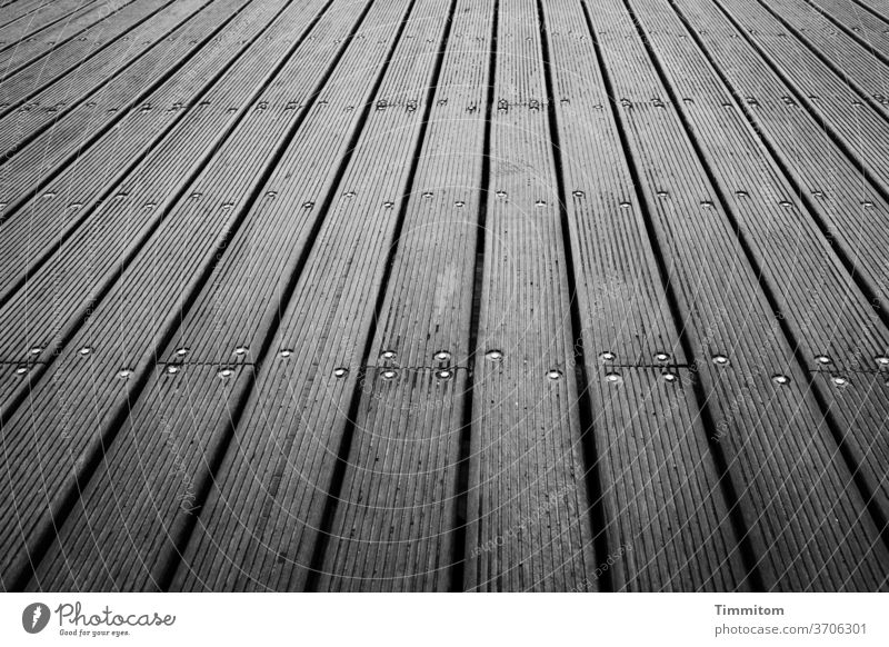 by hook or by crook wood Lanes & trails Sea bridge Black & white photo lines Branches and twigs Metal Deserted wooden floorboards groove