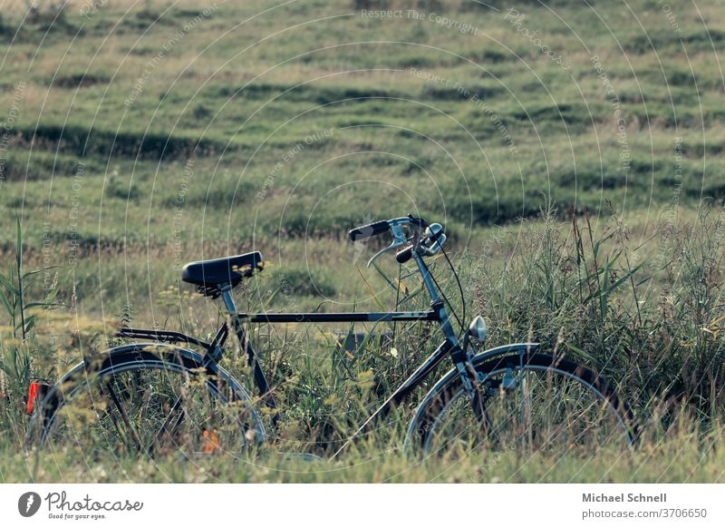 Bicycle in the countryside Cycling Exterior shot Deserted green Nature Love of nature Experiencing nature