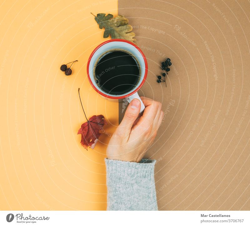 A woman's hand with a cup of coffee and dried leaves. dry autumn hot dry leaves warm background cream color nails finger sweater seasonal vintage home winter