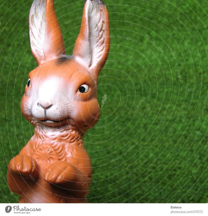 Easter bunny Doll Hare & Rabbit & Bunny Rubber Artificial lawn Scaredy-cat Yolk Toys Ear Joy Spring Easter Bunny long ears rabbit tail spick and span rammer Egg
