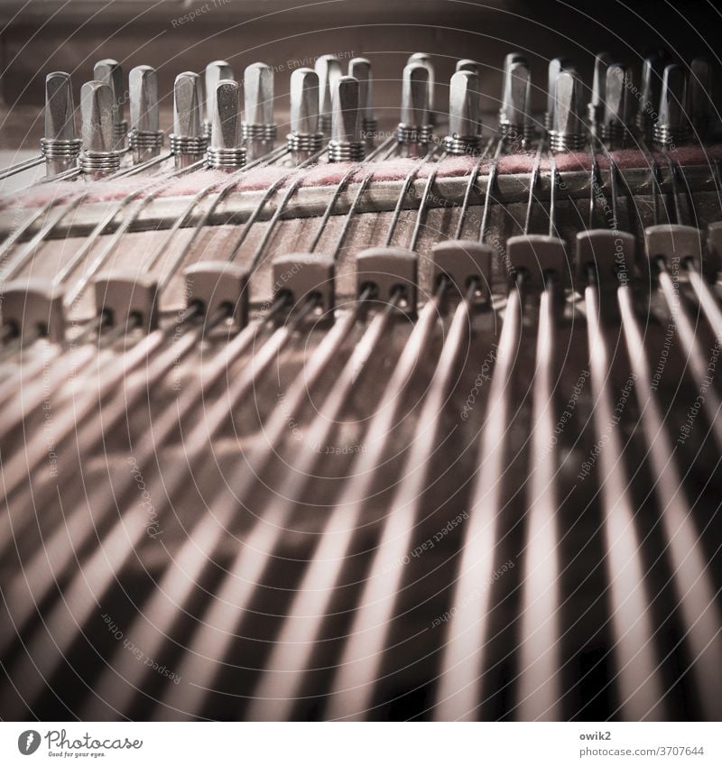 innards Piano dusty Detail Interior shot Musical instrument Keyboard instrument Dusty Close-up Subdued colour interior view strings Tense Many Parallel