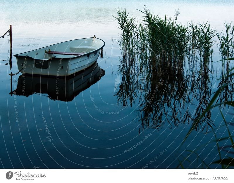 slack Rowboat Lake Closing time Reflection Copy Space bottom Copy Space top Nature Sky Beautiful weather Environment Peaceful Idyll Colour photo Exterior shot