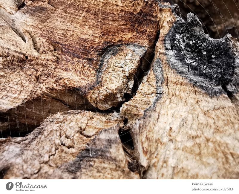 Close up of wood with saw marks and signs of lightning Wooden stake Wood grain fissure colors Brown Black Cut Tree trunk cleavage Colour photo Exterior shot