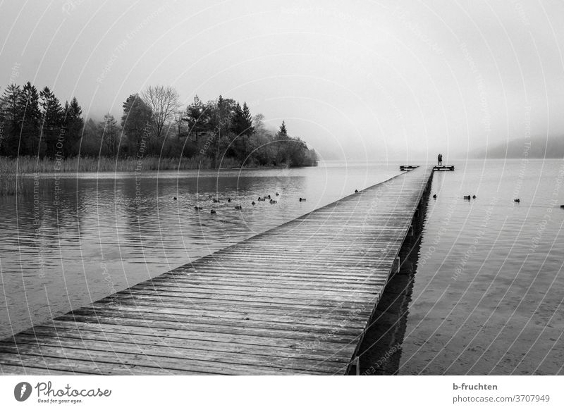 Wooden dock with lovers. Fog at the lake Lake wooden walkway Footbridge Nature Water Landscape Lakeside Calm Environment Surface of water Moody Idyll Morning