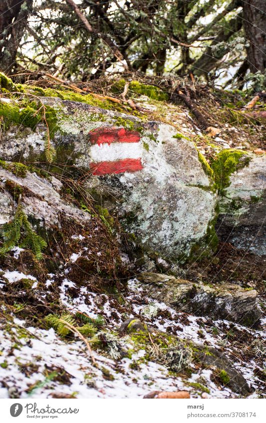 Hiking trail markings in red-white-red on rocks hiking mark Trip Signs and labeling Road marking Red-white-red Vacation & Travel Mountain Tourism Morning
