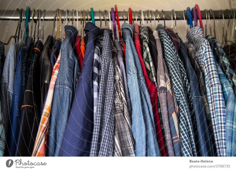 A fresh shirt per day keeps sweat smelling away - Shirt variety in the wardrobe Cupboard Hanger Shirt selection freshness Clean Clothing Interior shot
