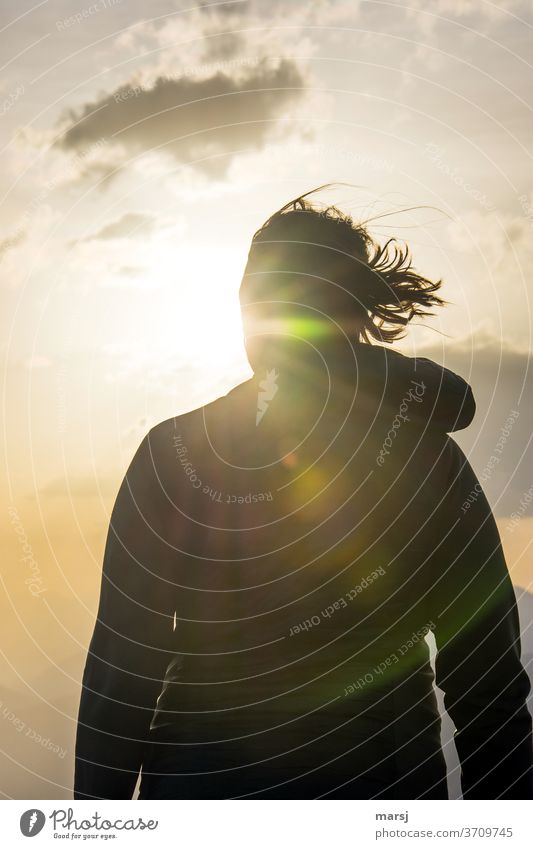 Looking back, you might think this was a sunny year. Sunlight Back-light Longing Sunbeam Silhouette Contrast Evening Subdued colour Colour photo To enjoy