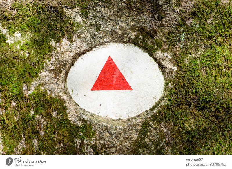 contrasts | red triangle in a white round - hiking sign along the river Ilse topic day Opposites antagonism Triangle Circle Heinrich-Heine-Weg hiking trail