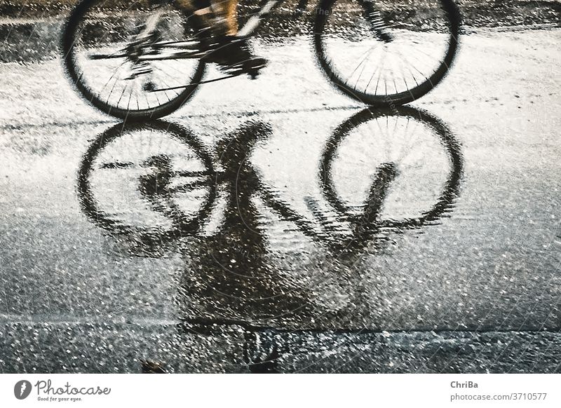 Cyclists shadowy as reflection on the asphalt in the rain Bicycle Cycling Street Transport Exterior shot Lanes & trails Road traffic Mobility Movement