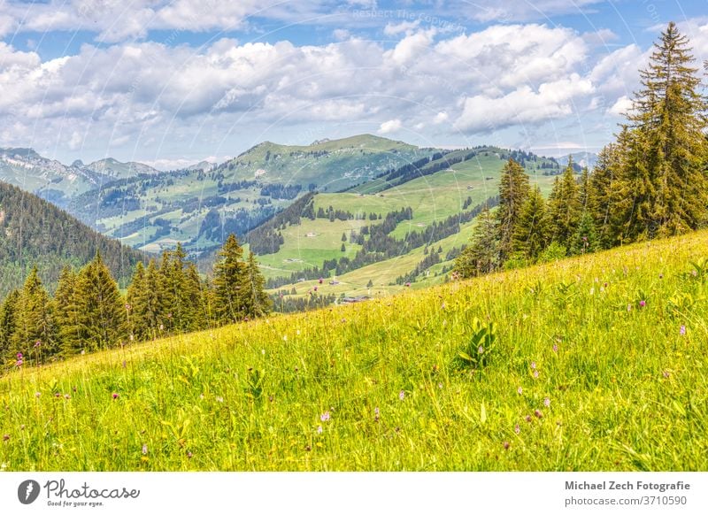 hiking near les mosses in the swiss alps grass alpine wilderness valley trekking tourism vaud water pic chaussy green nature outdoor hill travel panorama lake