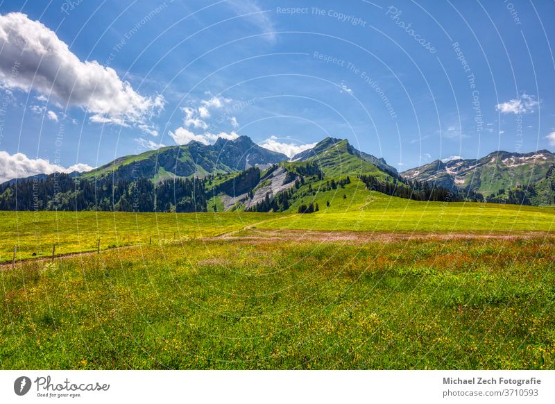 hiking near les mosses in the swiss alps grass alpine wilderness valley trekking tourism vaud water pic chaussy green nature outdoor hill travel panorama lake