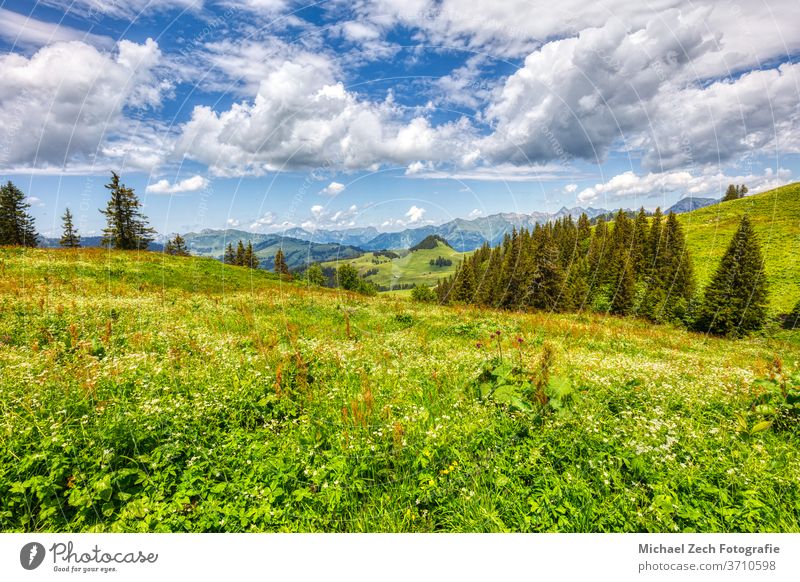 hiking near les mosses in the swiss alps grass alpine wilderness valley trekking tourism vaud water pic chaussy green nature outdoor hill travel panorama lake