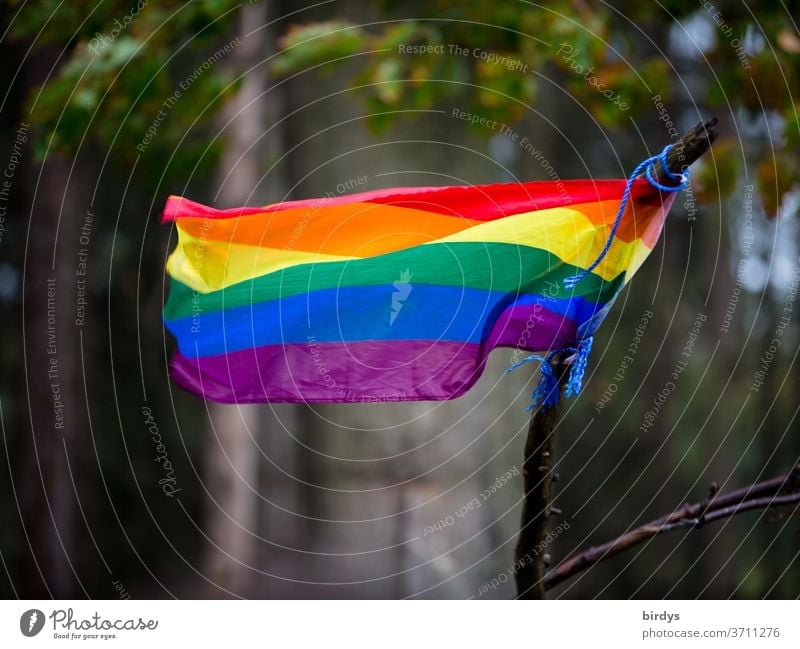 Rainbow flag waving in the wind. Central Perspective rainbow flag Prismatic colors Homosexual symbolism gay lesbians Transgender Freedom Symbols and metaphors