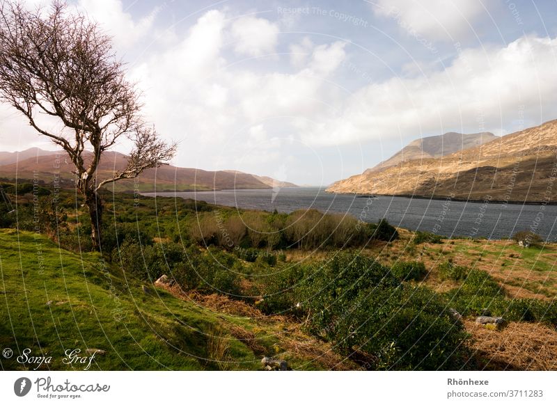 Scottish hole in the Highlands Scotland Lake Landscape Mountain Nature Exterior shot Colour photo Deserted Environment Clouds Day Loneliness Great Britain