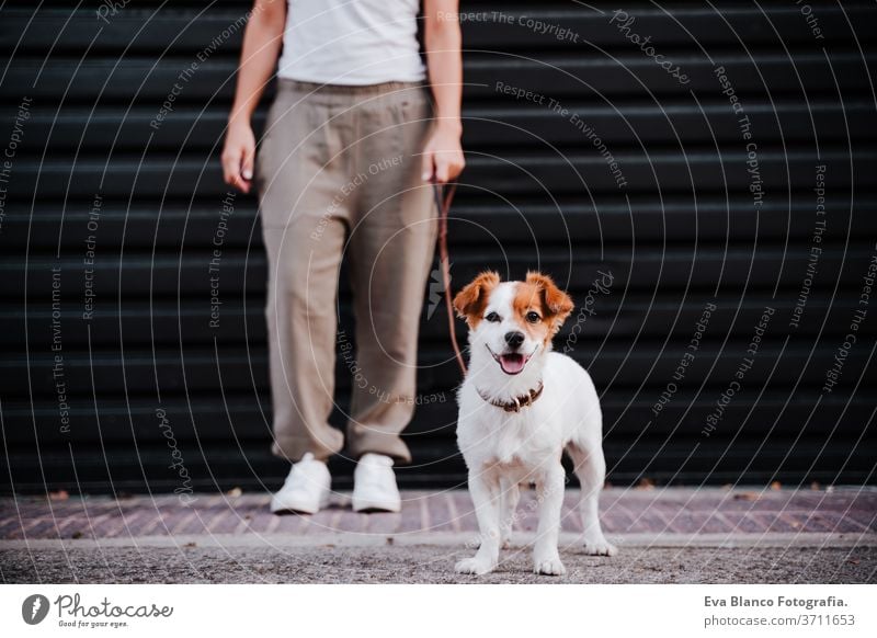 young woman outdoors wearing protective mask, cute jack russell dog besides. New normal concept street new normal pet walking urban city lifestyle corona virus