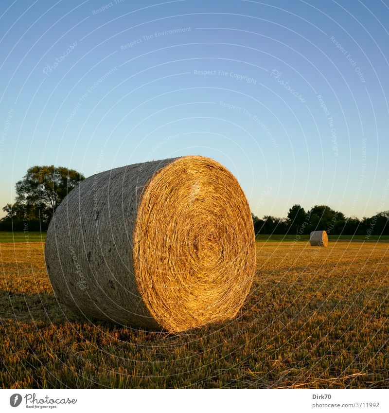 Autumnal Hay Bales On The Mowed Meadow A Royalty Free Stock Photo From Photocase