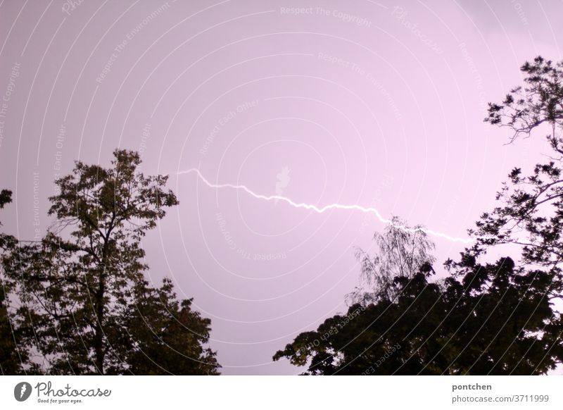 A lightning bolt in the pink sky between two trees. Thunderstorm, thunderstorm Thunder and lightning Electric charge Light arch Nature Natural phenomenon Cargo