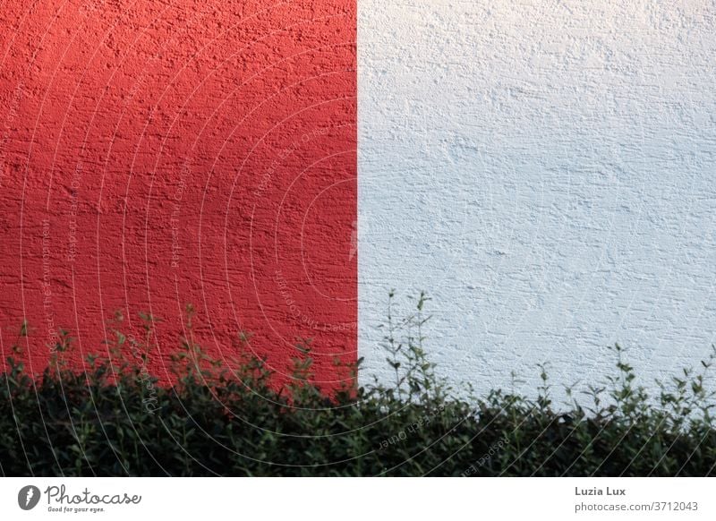 red and white or graphic on the house wall, in front of it a green hedge graphically graphic pattern Red White Direct Facade Hedge Line Wall (building)