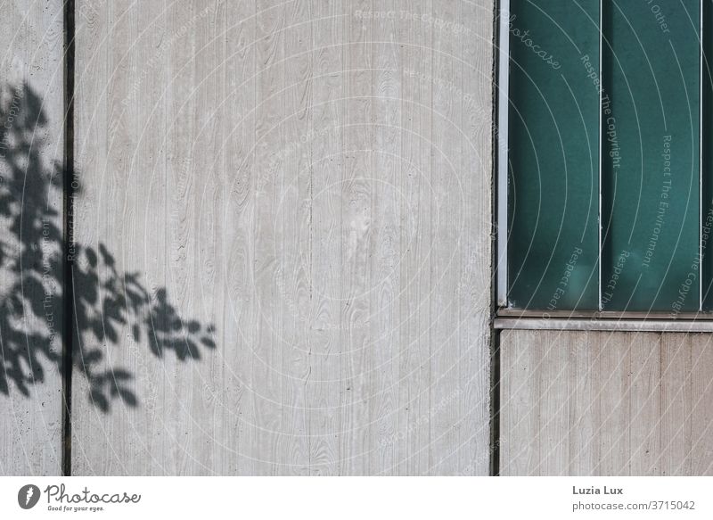 grey facade with turquoise green window, in addition the graceful shadow of a tree Facade exposed concrete Window Gray Gloomy House (Residential Structure)