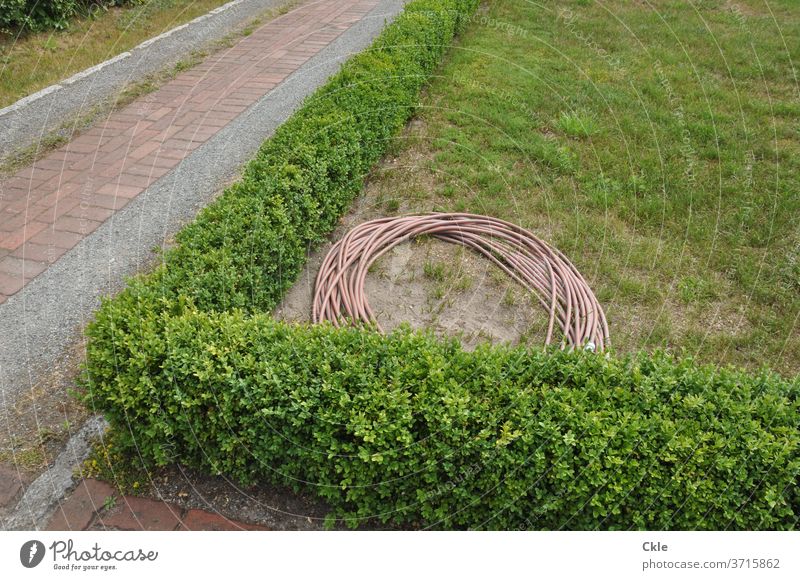 Tube in hedgerow landscape with sidewalks Garden hose Park hedges green Walkways Garden paths Hose Cast Gardening Colour photo Plant Water hose tiles Drought