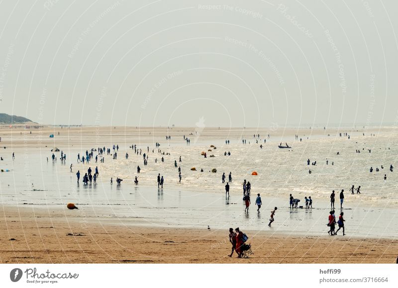 lido on the beach in the evening Beach Ocean Coast Summer Landscape Wet Water Vacation & Travel Relaxation ebb and flow Sunlight Silhouette Sand Relationship