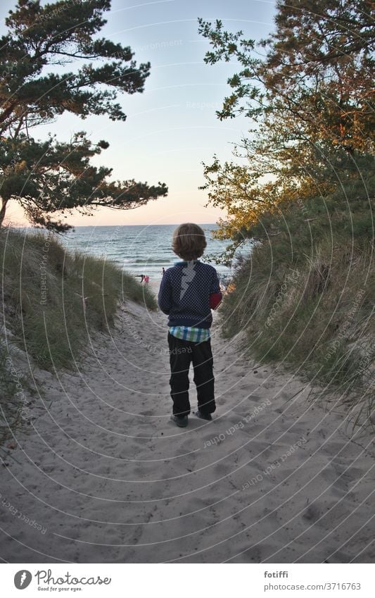 Boy at the entrance to the sandy beach Boy (child) Sand Sandy beach Rügen Ocean Water vacation Vacation photo Vacation mood sea view Child Dreamily Smooth