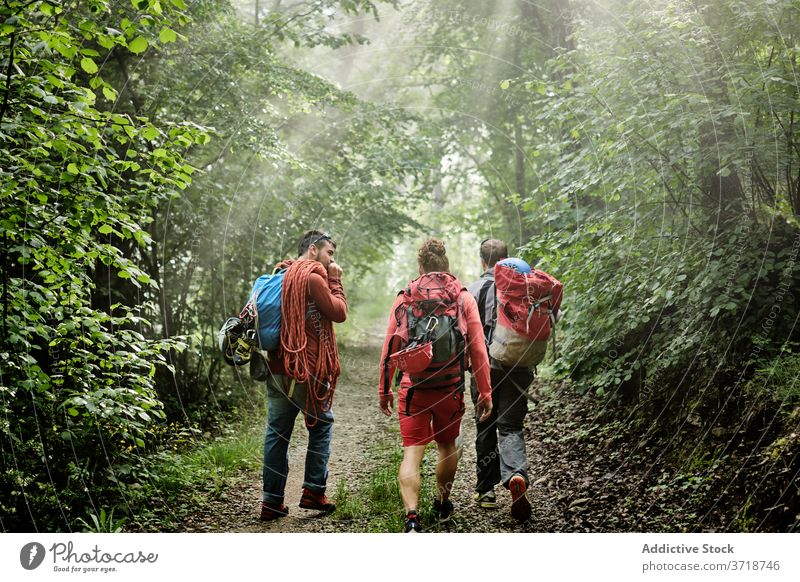 Group of hikers with backpacks in forest traveler mountaineer men walk climber equipment adventure trekking together path company activity nature vacation