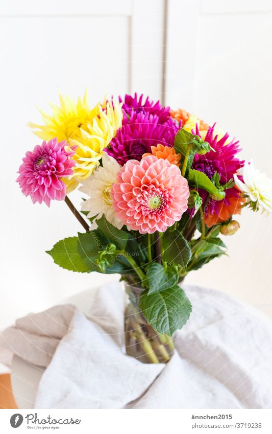 A colorful bouquet of dahlias stands on a bright table Dahlia Table Summer Autumn flowers Flower bouquet Pink Nature Colour photo Close-up Deserted Garden