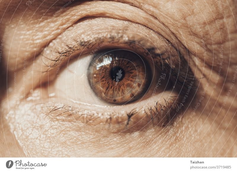 Macro Eye of Female Senior . front view eye wrinkled people female woman old age aged aging cosmetic eyeball eyelash eyesight horizontal lines look one person