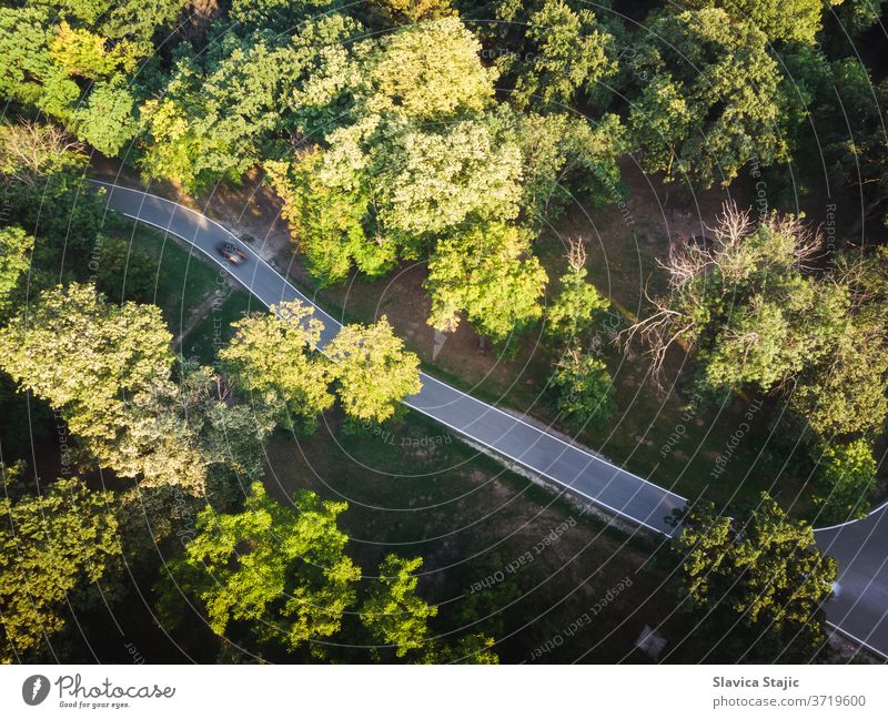Aerial View Of Mountain Road in late summer above aerial afforest asphalt background beautiful botany branch car colorful country countryside deforestation