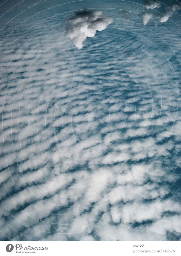 evaporated Sky only Clouds Beautiful weather Clouds in the sky Far-off places White Blue Above Cloud pattern Cloud formation Infinity Detail Exterior shot