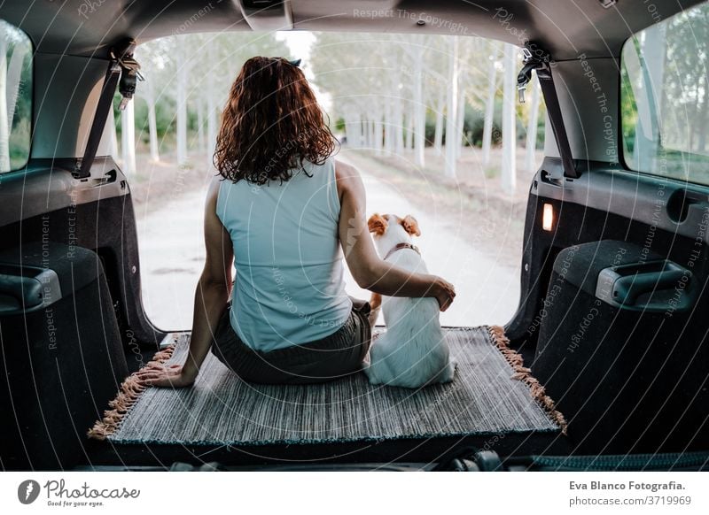 young happy woman with her dog in a car. Travel concept. back view travel jack russell together love outdoors lifestyle friendship vacation animal breed tender