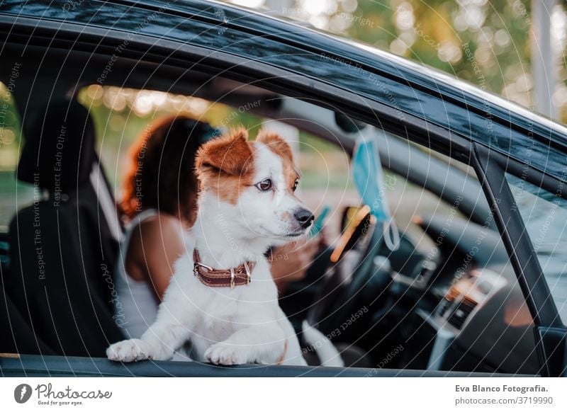 young woman wearing protective mask in a car. cute jack russell dog besides. Travel and new normal concept drive travel together love outdoors lifestyle