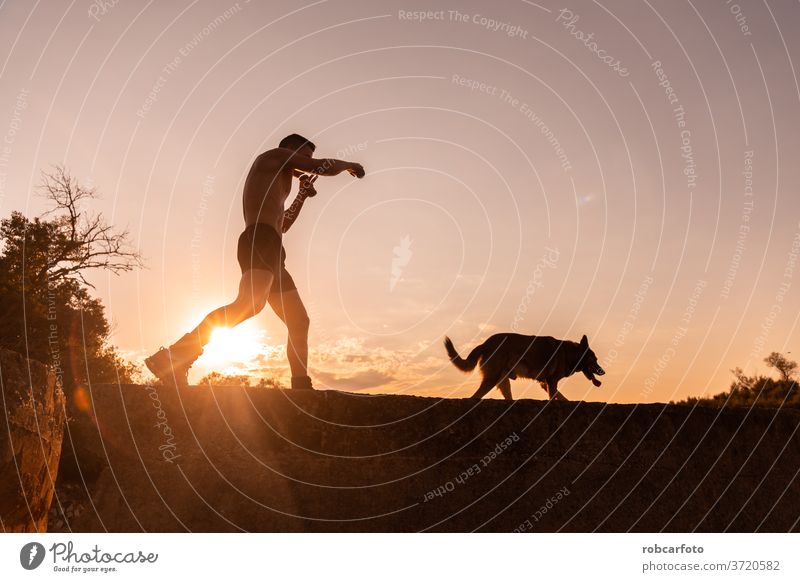 man training with his dog people grass male sky pet happy fun sunset outdoor nature meadow men summer animal silhouette dusk friendship sport healthy workout