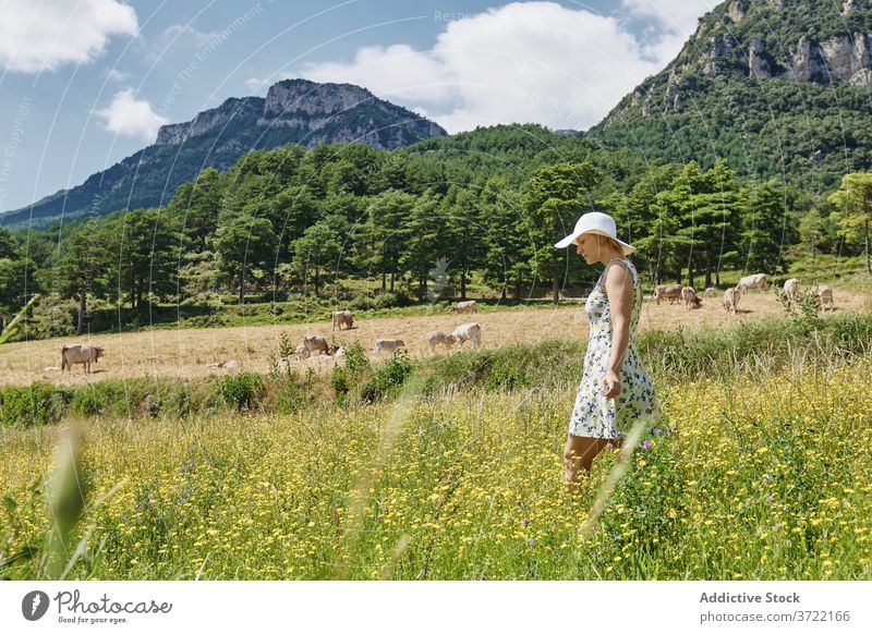 Tranquil woman in field in summer meadow mountain valley carefree serene cow pasture highland female dress hat grass peaceful green nature freedom tranquil hill