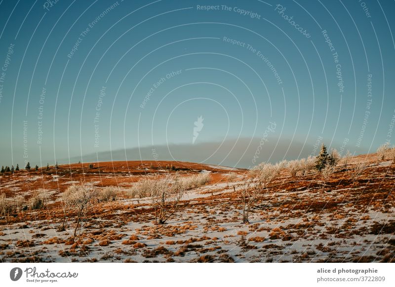 Sowy Vosges peak under a bright blue sky Beauty In Nature Cloud - Sky Cold Temperature Dramatic Sky Environment Famous Place France Grass Hill Horizontal Ice