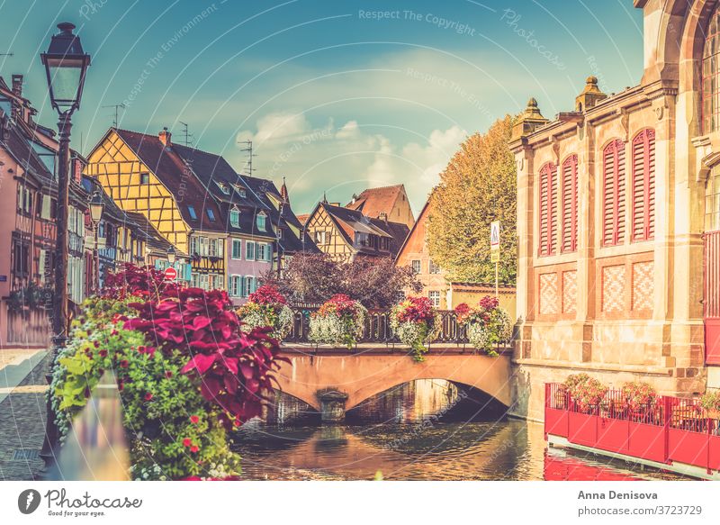 Colorful traditional french houses and shops in Colmar, Alsace colmar alsace france colorful beautiful village town street romantic old architecture europe