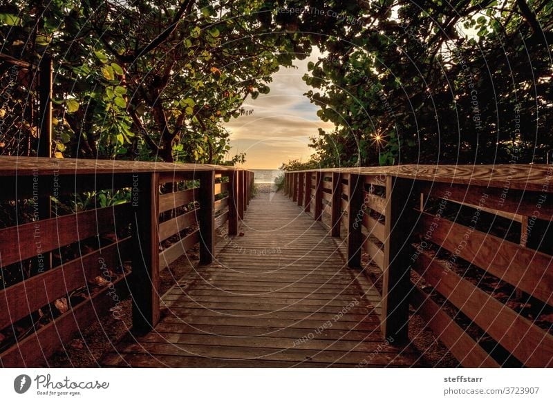 Boardwalk leading toward Delnor Wiggins State Park at sunset Delnor wiggins boardwalk dusk end of the day journey path landscape nature Florida wood boardwalk