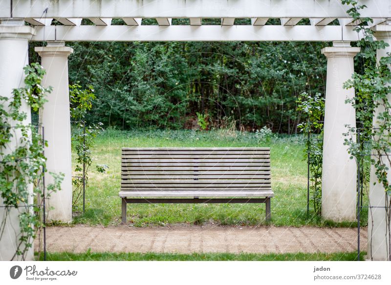 banking paradise. Bench bench Seating Deserted Exterior shot Colour photo wood Wooden bench Day Calm Loneliness Empty Park bench Arcade Plant Copy Space middle