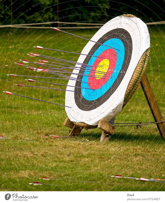Archery target archery archery target arrow arrows sport leisure nature outdoor outdoors board wooden grass medieval