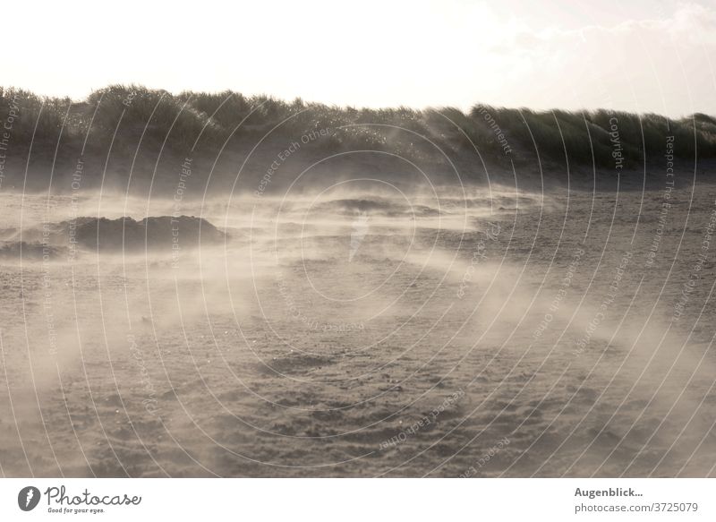 Sandstorm on the North Sea beach... Beach Wind Ocean Clouds Gale Vacation & Travel Landscape Nature Coast Winter Weather Island