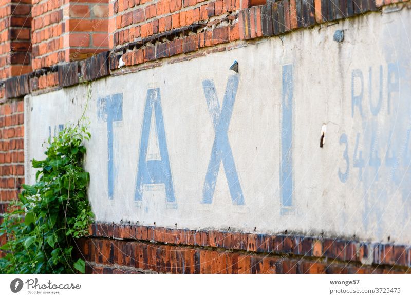 TAXI call written with blue weathered letters on white background Taxi taxi call Ancient Weathered blue letters VEB Advertising house wall Facade