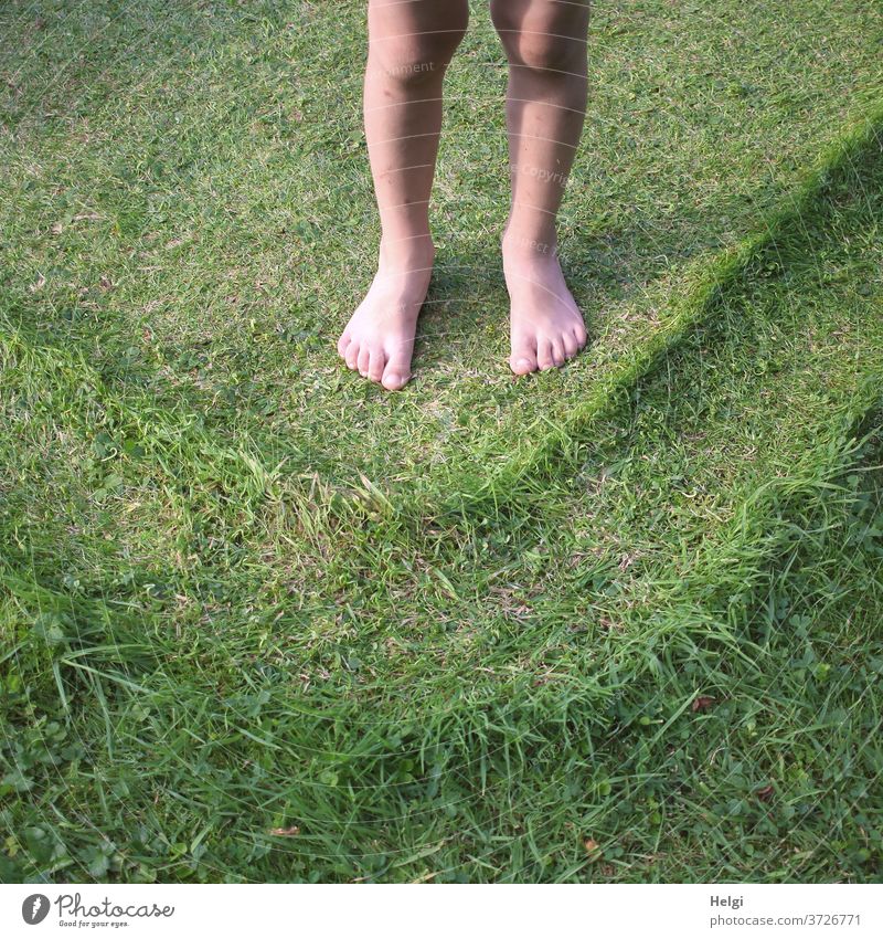 Children's feet barefoot on the lawn, which has been imprinted with a pattern by the paddling pool Legs Children's Feet Lawn Meadow Pattern structure Level